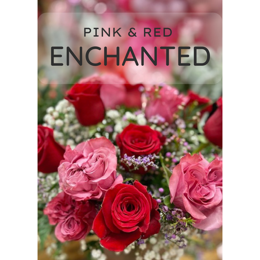ENCHANTED: 1 or 2 dozen roses - PINK & RED